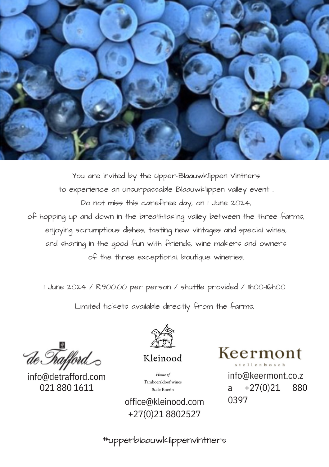 Upper - Blaauwklippen Vintners Experience 2024 - Saturday, 1 June 2024 - 11.00am-4.00pm